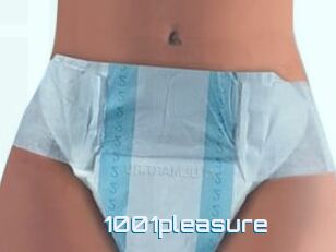 1001pleasure