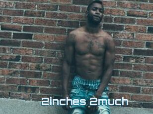 2inches_2much