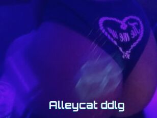 Alleycat_ddlg