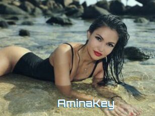 AminaKey