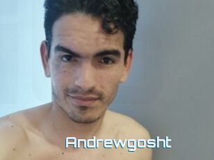 Andrewgosht