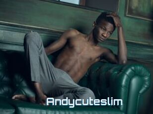 Andycuteslim