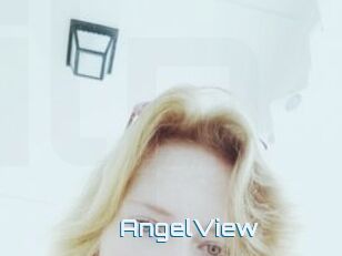 AngelView