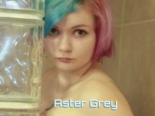 Aster_Grey