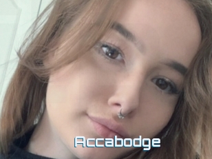 Accabodge