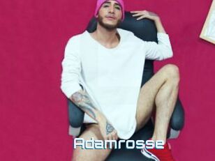 Adamrosse
