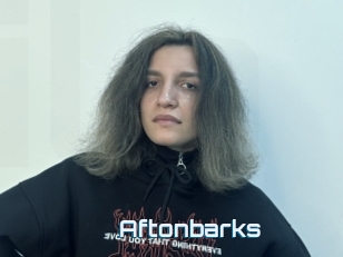 Aftonbarks