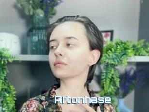 Aftonhase