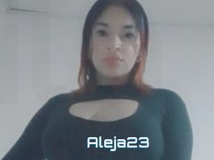 Aleja23
