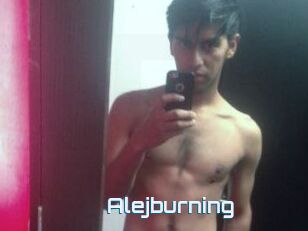 Alejburning