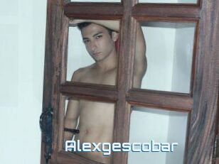 Alexgescobar