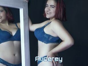 Alicerey