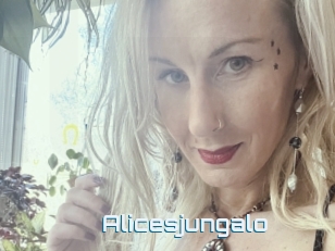 Alicesjungalo