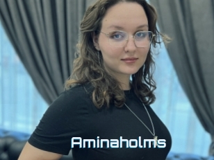 Aminaholms