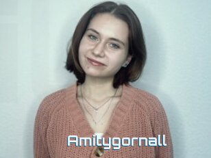 Amitygornall