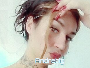 Andrebig