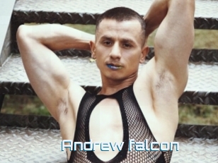 Andrew_falcon