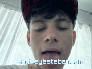 Andreyestebancam