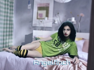 Angelfinch
