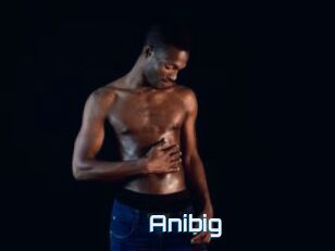 Anibig