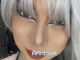 Anntook