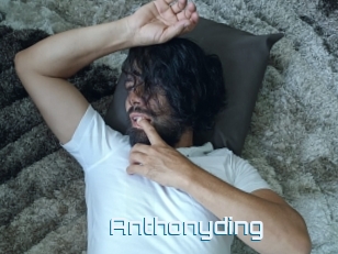 Anthonyding