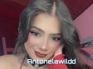 Antonelawildd