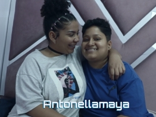 Antonellamaya