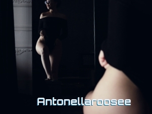 Antonellaroosee