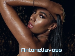 Antonellavoss