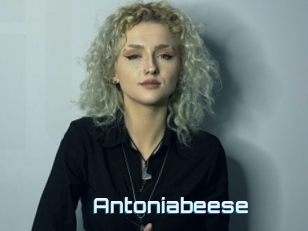 Antoniabeese