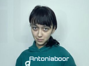 Antoniaboor