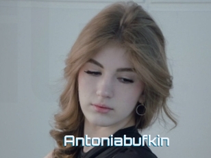 Antoniabufkin