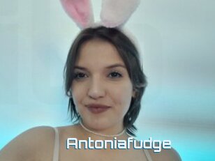 Antoniafudge
