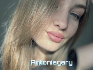 Antoniagary
