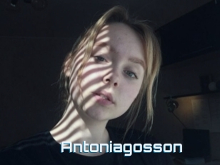 Antoniagosson