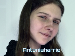 Antoniaharrie