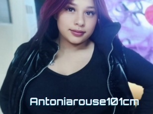 Antoniarouse101cm