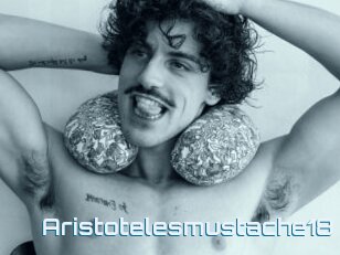 Aristotelesmustache18