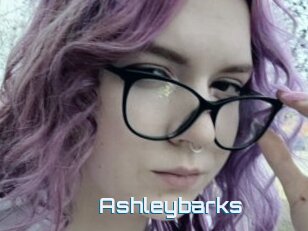 Ashleybarks