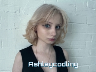 Ashleycodling