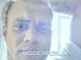 BIGDICKFORU4