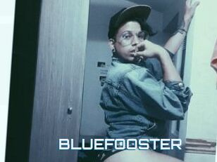 BLUEFOOSTER