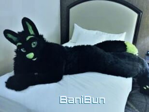 BaniBun