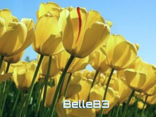 BelleB3