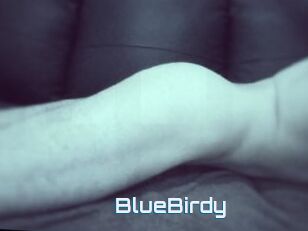 BlueBirdy