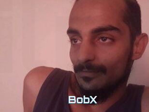 BobX