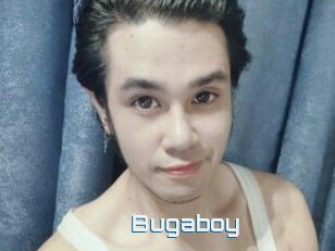 Bugaboy