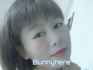 Bunnyhere