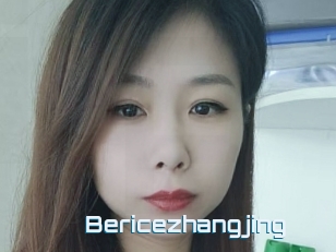 Bericezhangjing
